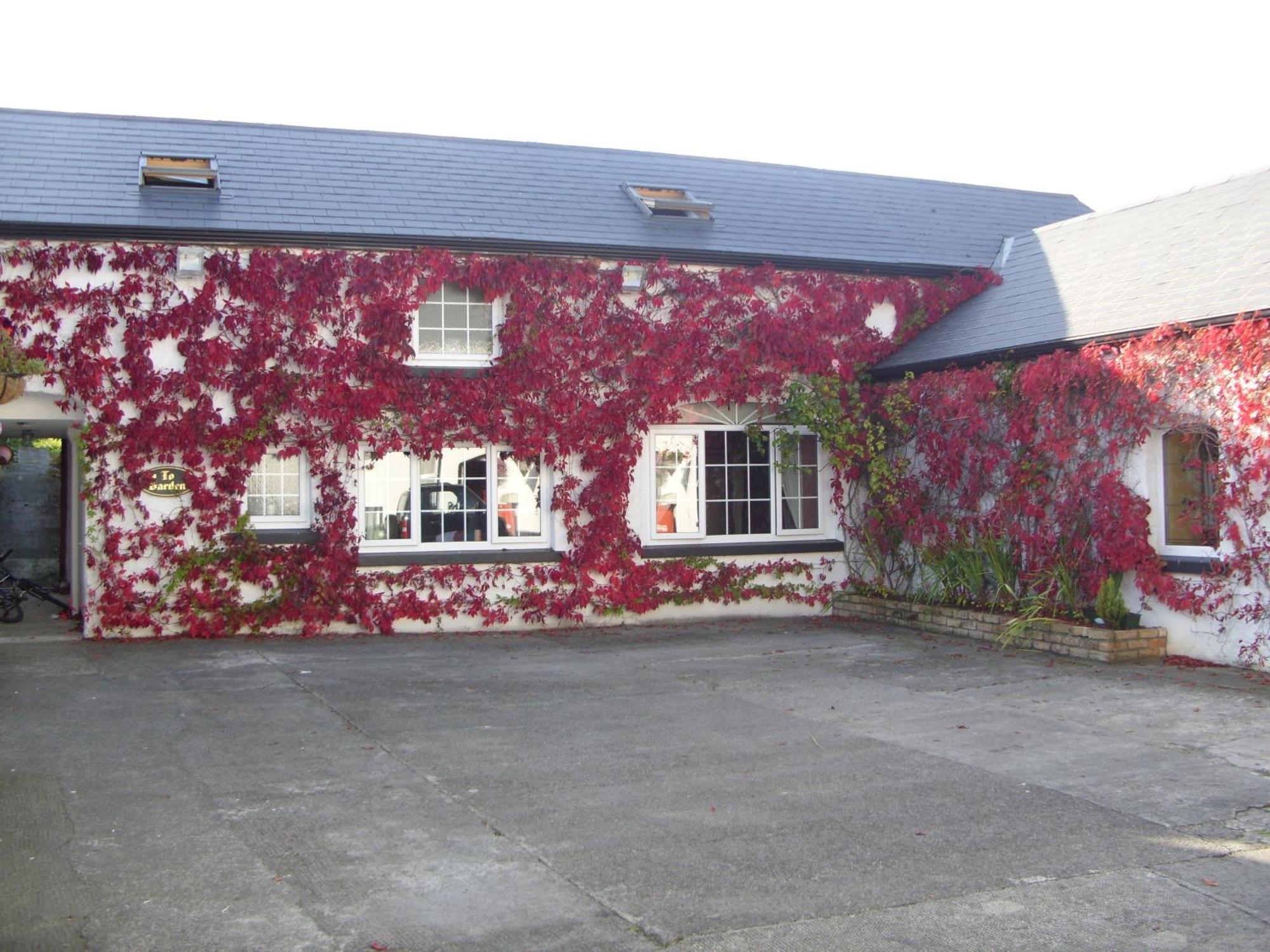 Townsend House Guest House Birr Exteriér fotografie